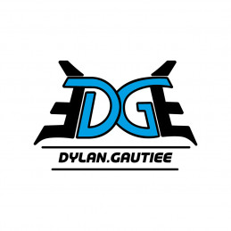 STICKERS DG BLEU ET NOIR