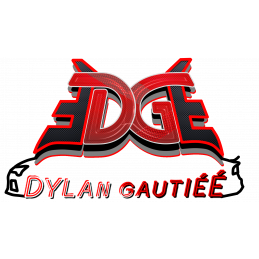 STICKERS DG CARBONE